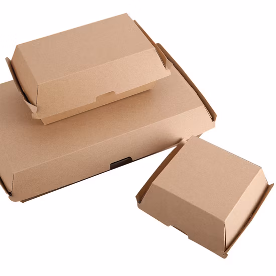 Custom Full Color Brown White Square Large Mini Disposable Corrugated Take out Folding Paper Food Packaging Burger Box
