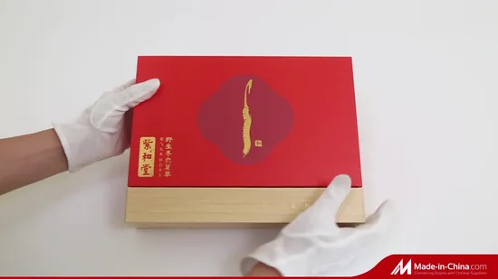 Custom Deluxe Paper Printing Packaging Box with EVA for Promotion 