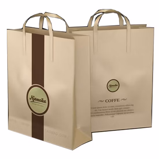 Free Sample Custom Logo Luxury Pink Cardboard Paper Bag with Ribbon Handle